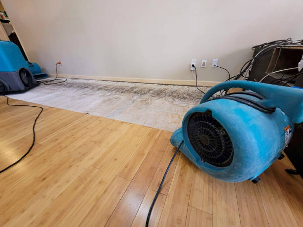 Professional Water Damage Repair technician working in Livermore, CA